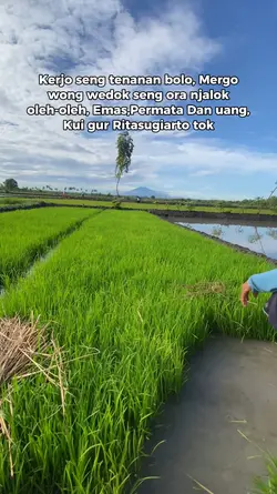 kerjo seng temen blo