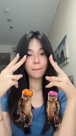 1 video x 2 foto