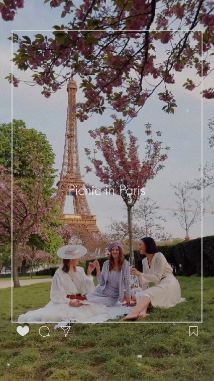 Picnic in Paris 
