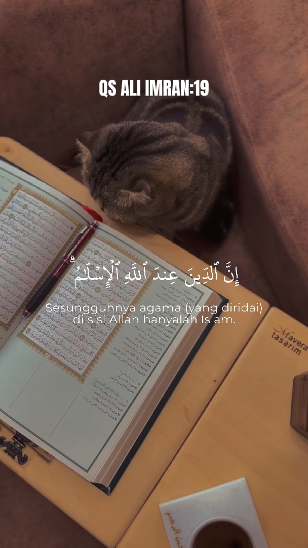 QS ALI IMRAN: 19