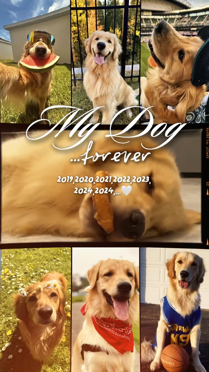 My Dog…forever 