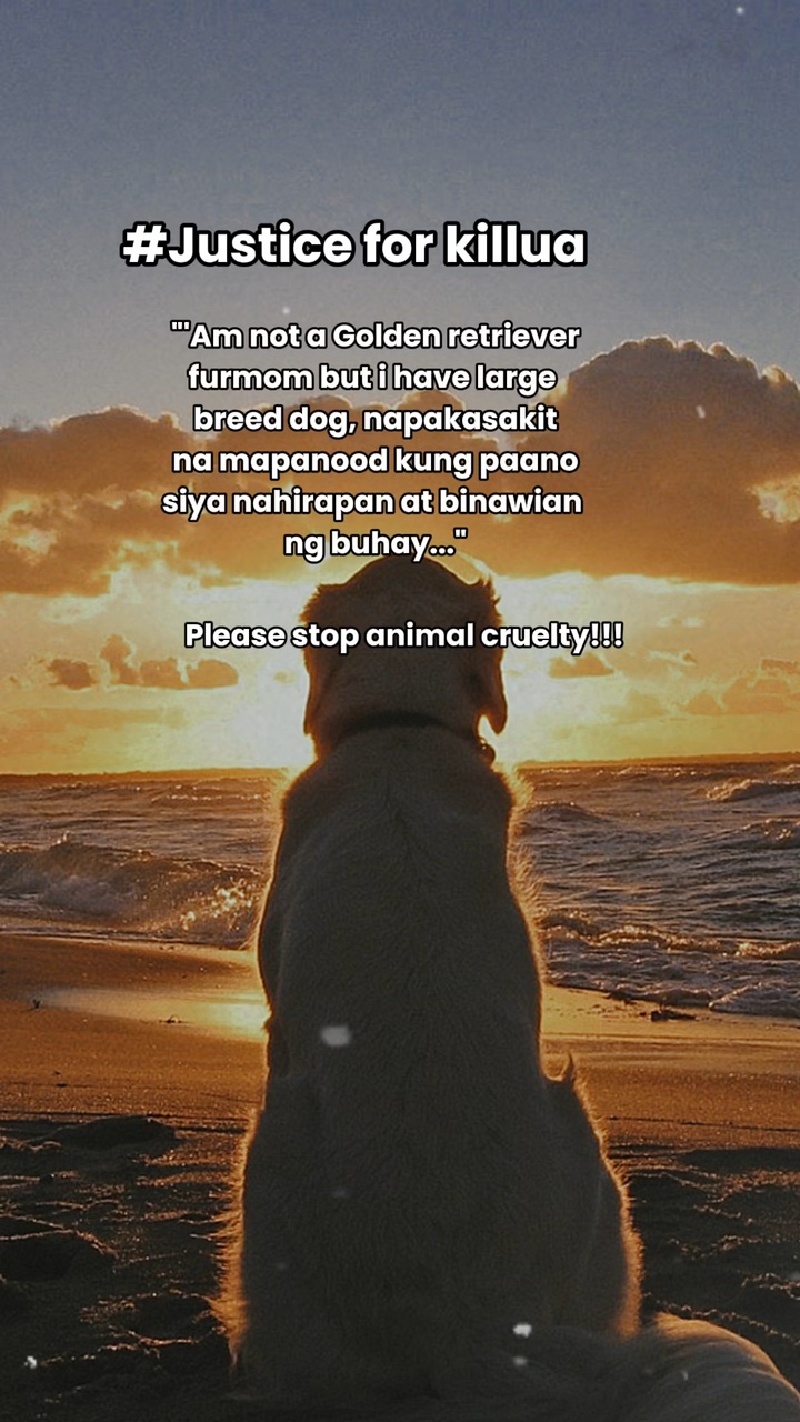 Justicia para nuestra mascota