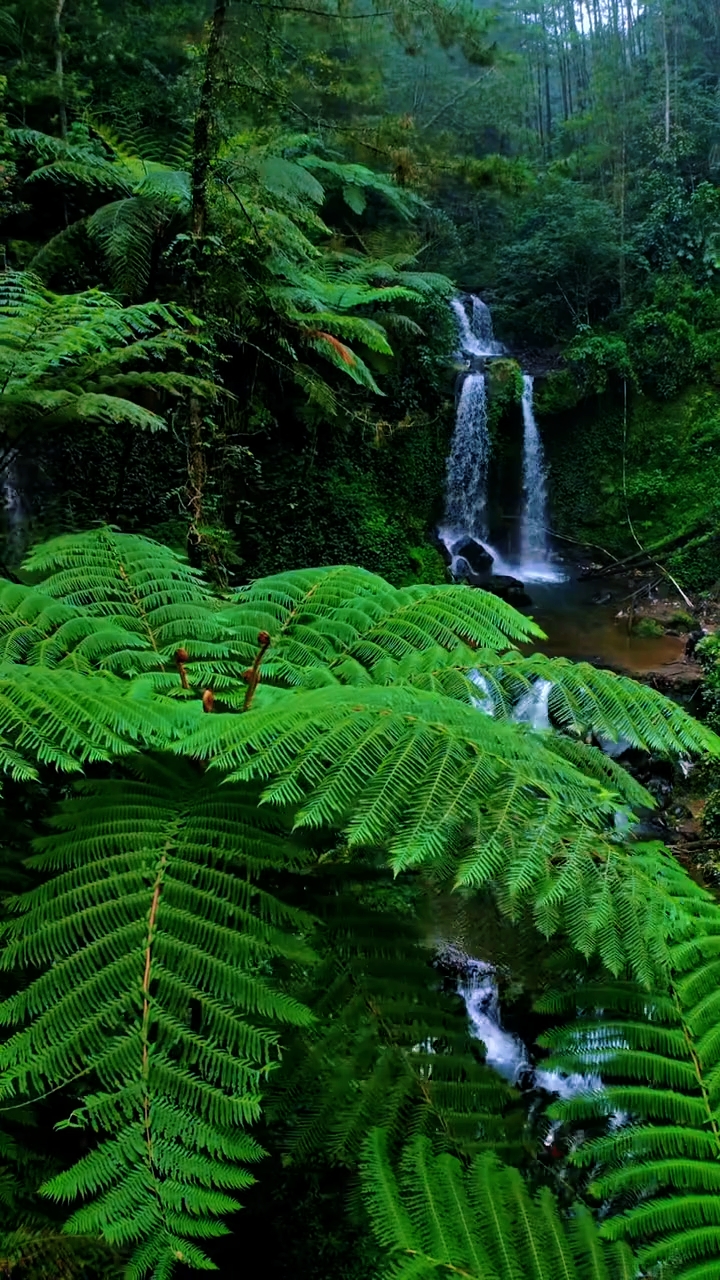 nature vibes