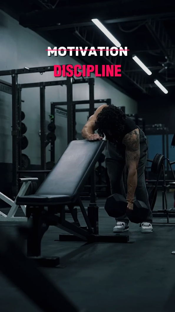 disiplin 