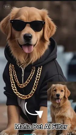 Street boss Pet Ai