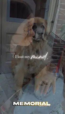 I lost my mind😔