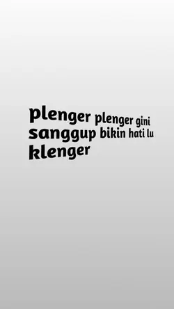 plenger plenger gini