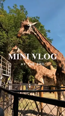 at the zoo