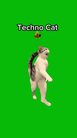 Techno Cat 
