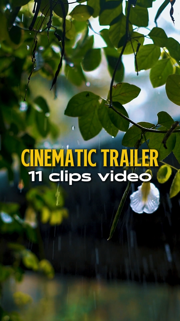 Cinematic Trailer