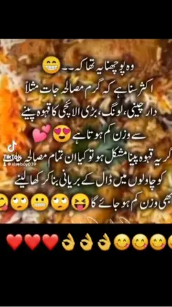 Biryani’s lover