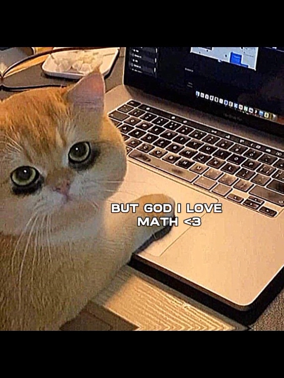 Matemática 