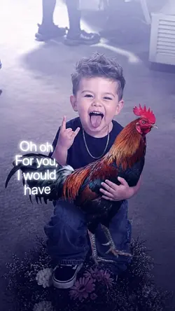 versi ayam