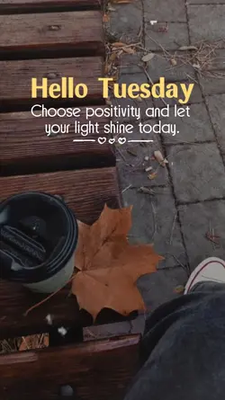 Hello Tuesday 