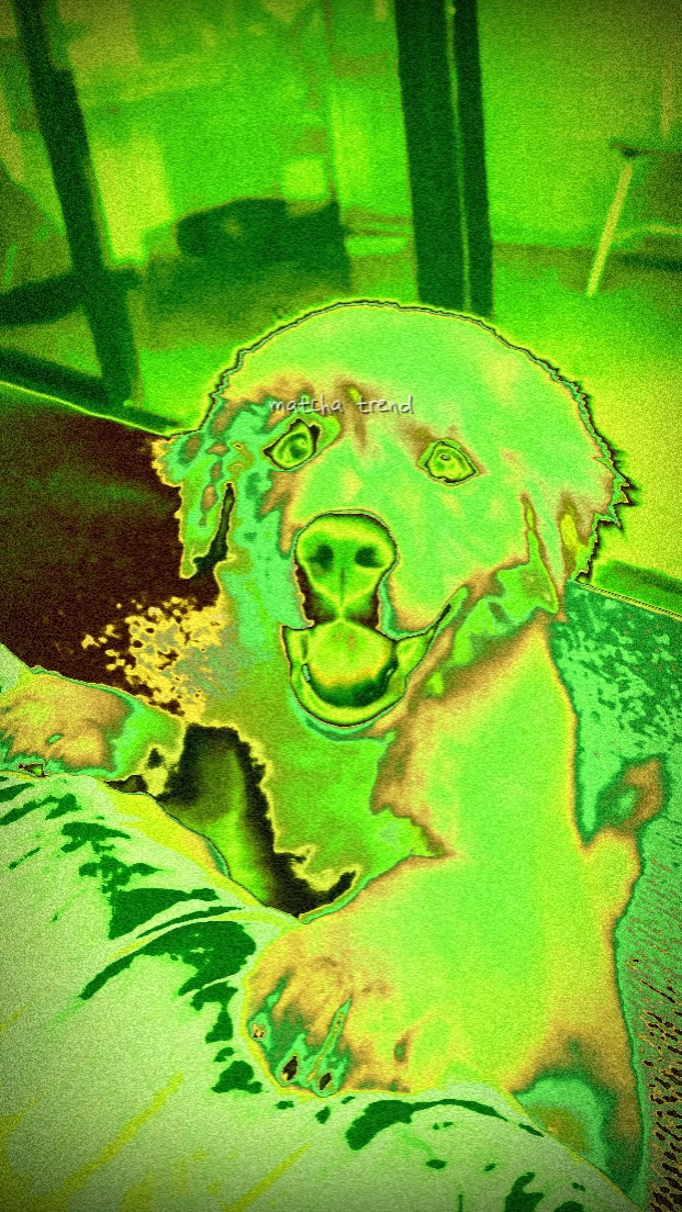 MATCHA NEW EFFECT