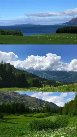 3 pics 