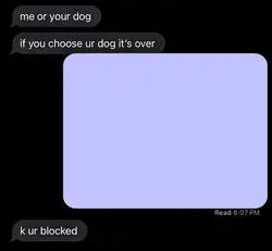 me or your dog