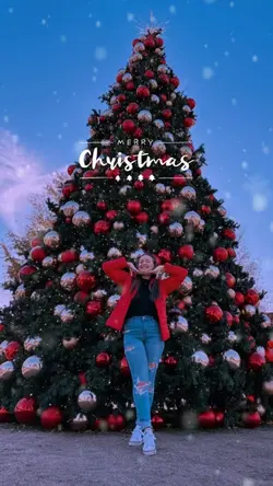 Merry Christmas