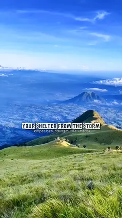 Shelter