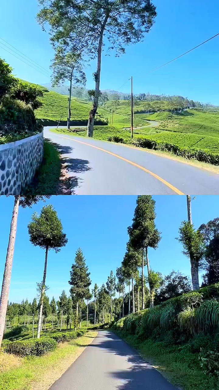 2 videos 1 diseño