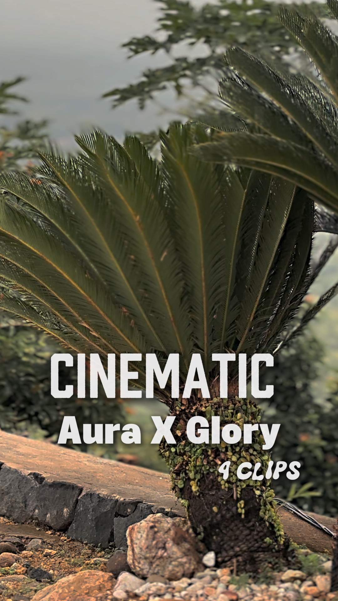 CINEMATIC AURA 