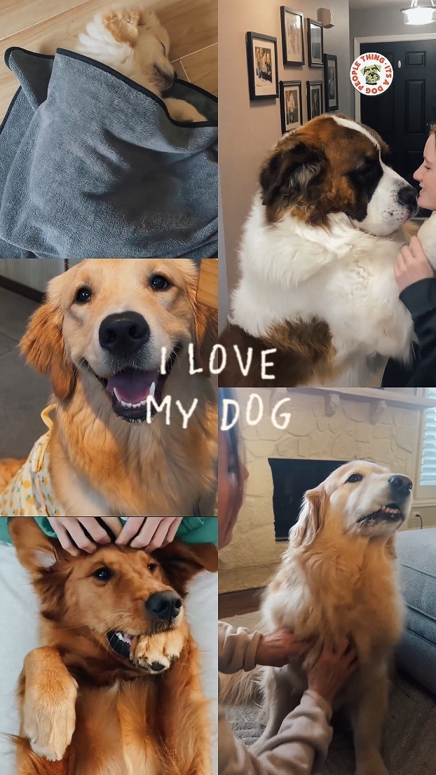 HAPPY DOG DAY