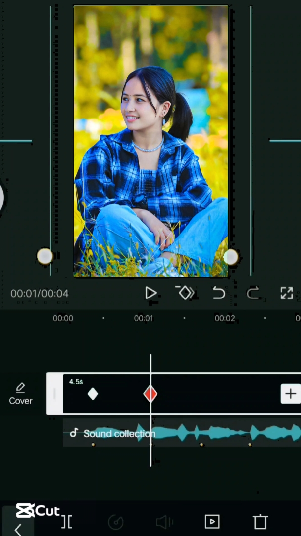 Tikendra editor 
