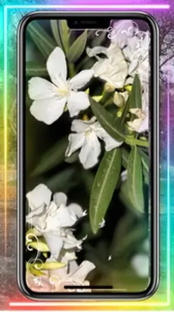 Colorful iPhone 📲