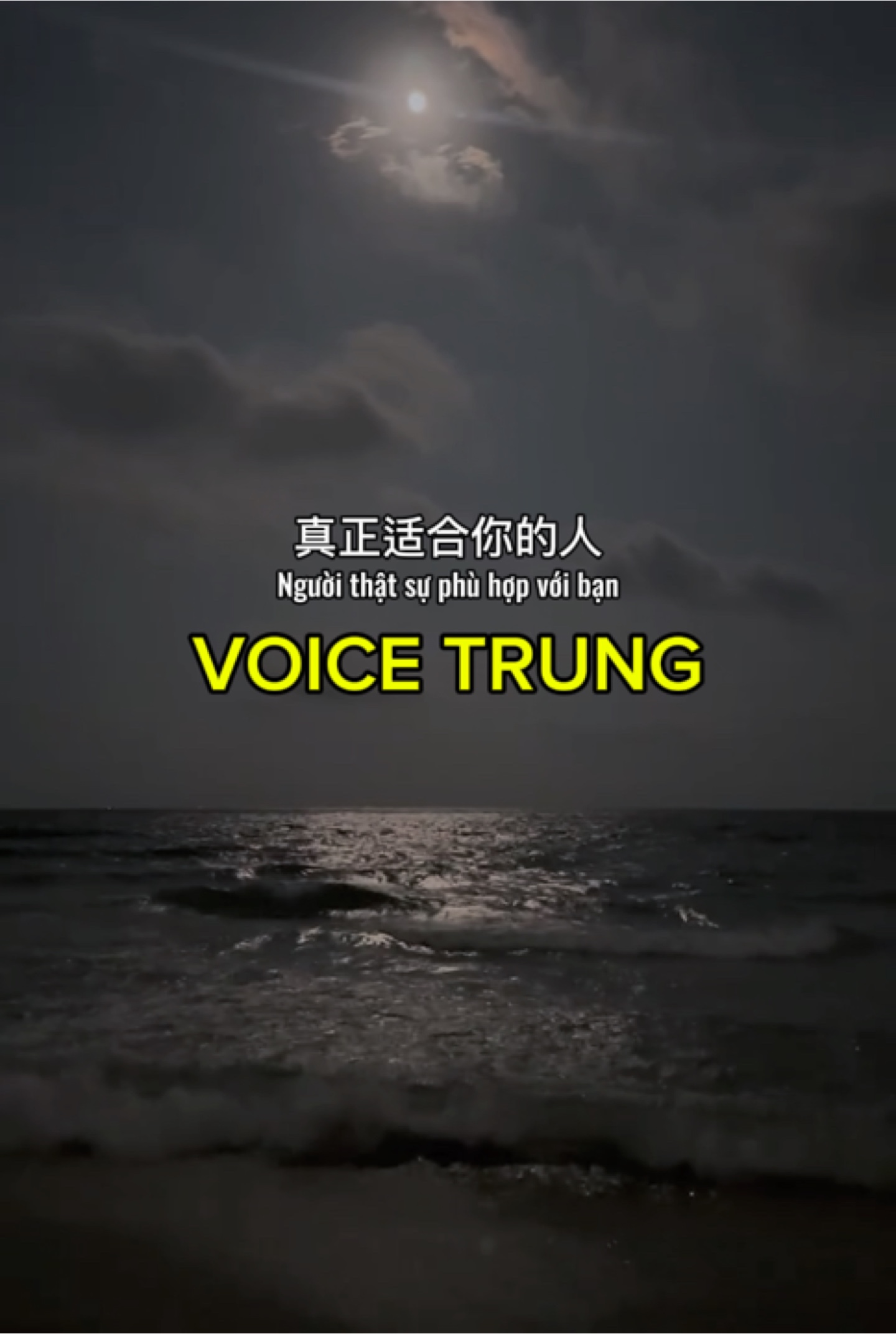 Suara Trung 
