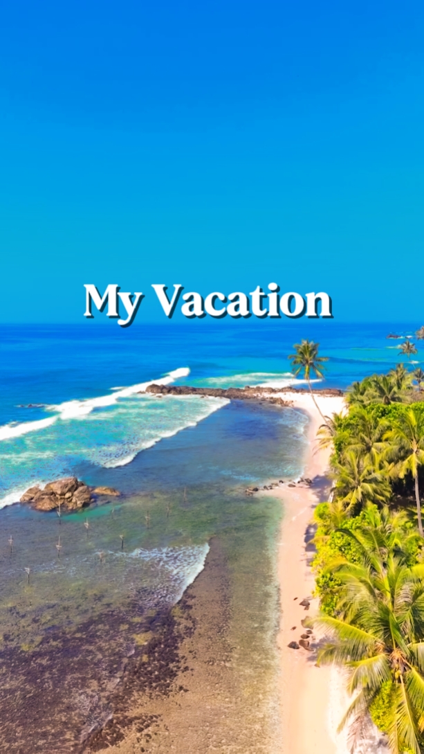 My Vacation 