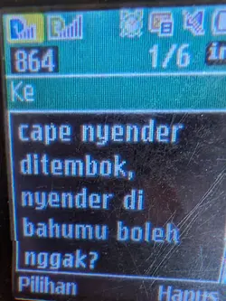 cape nyander 