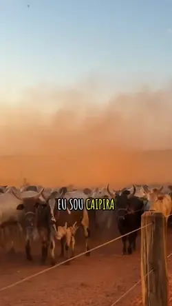 Eu sou caipira