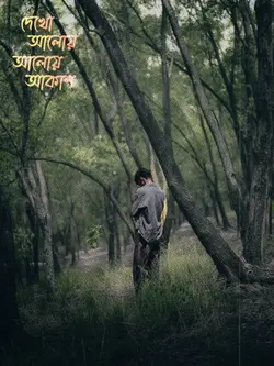 দেখো আলোয় আলোয় আকাশ