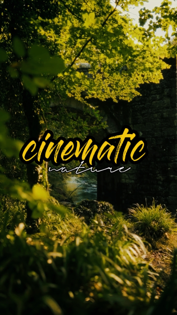 cinematic nature 