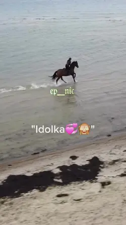 Biały królik...