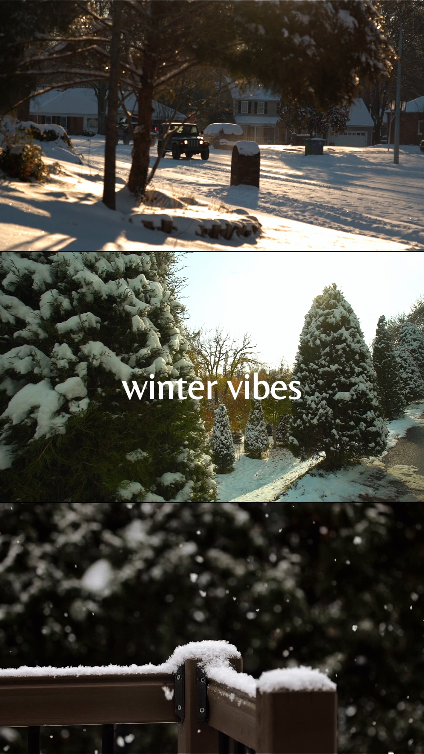 Winter-Vibes