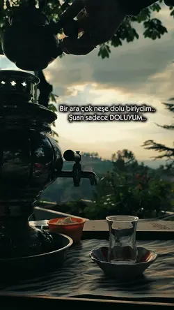 duygusal şablon
