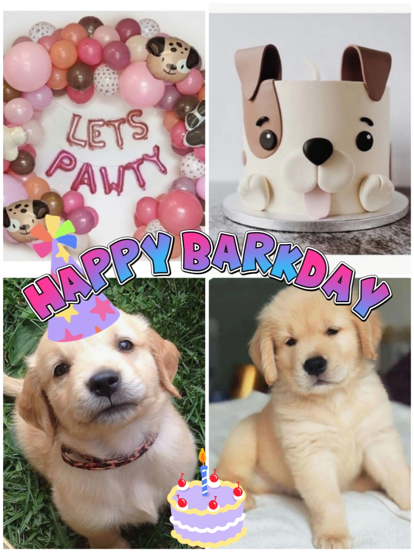 Fröhliche Barkdays
