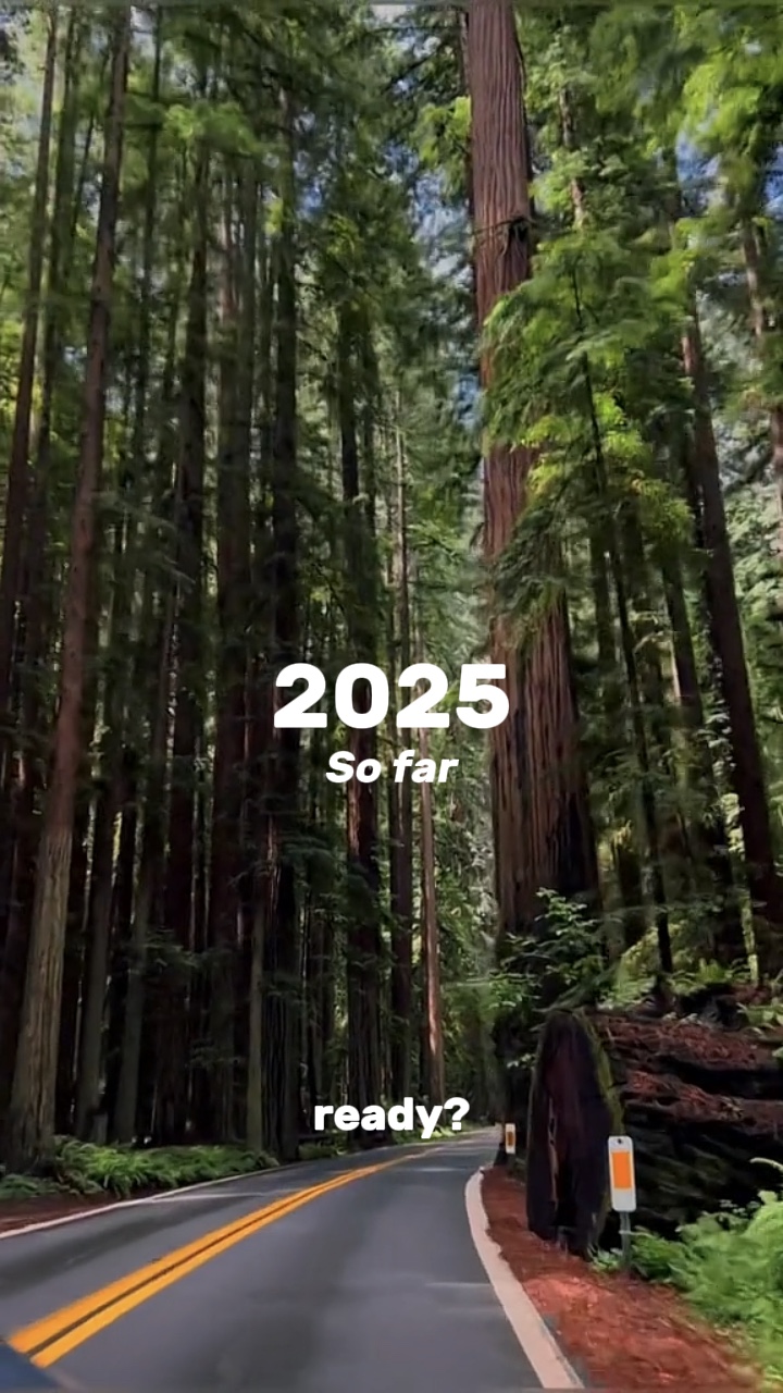 Şimdiye Kadar 2025 