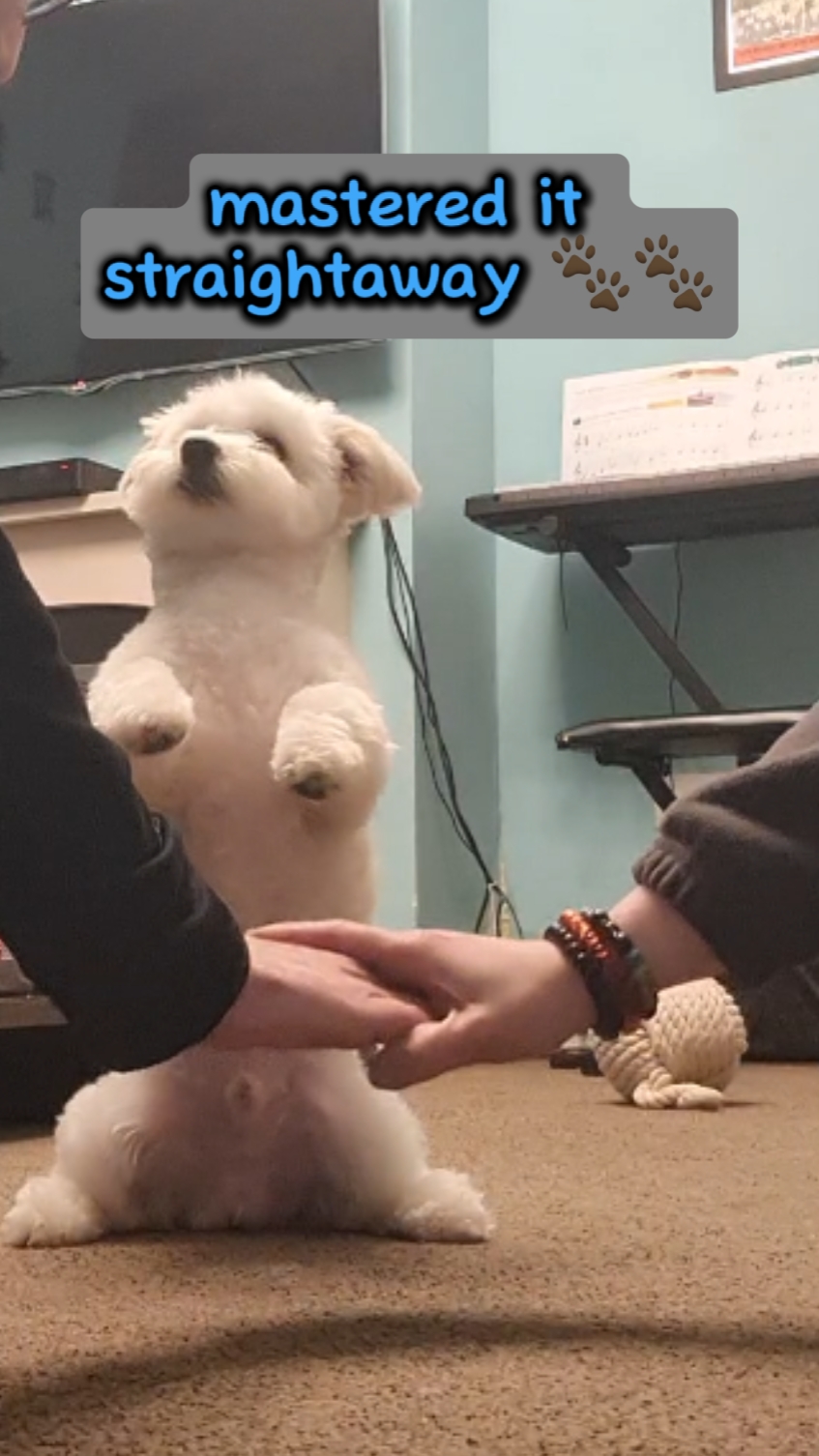 Hands in challenge