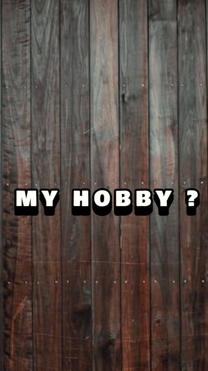 Hoodie Display TikTok Style