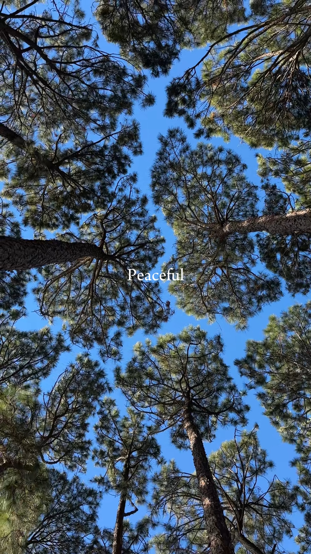 Peaceful