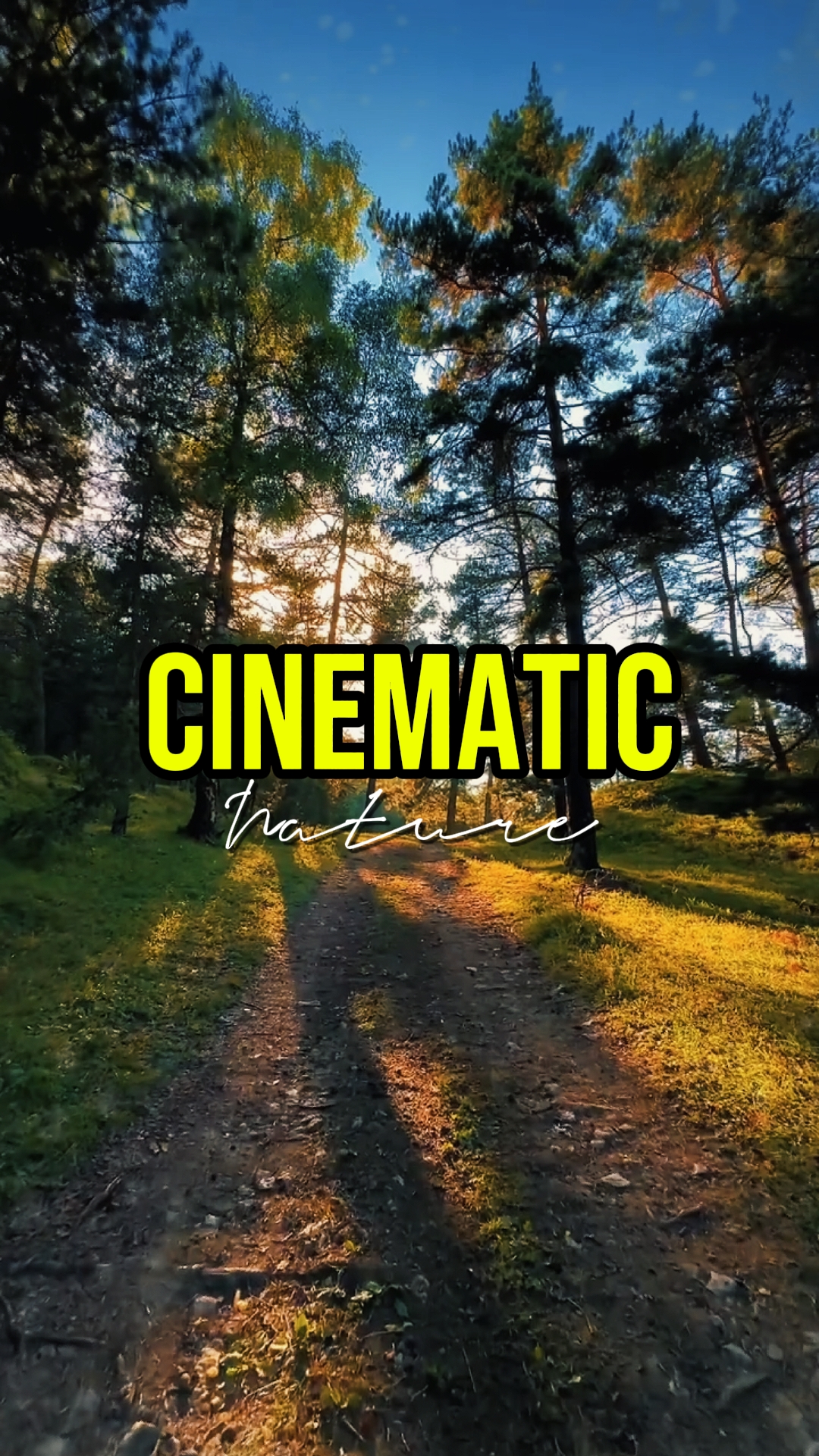 CINEMÁTICA