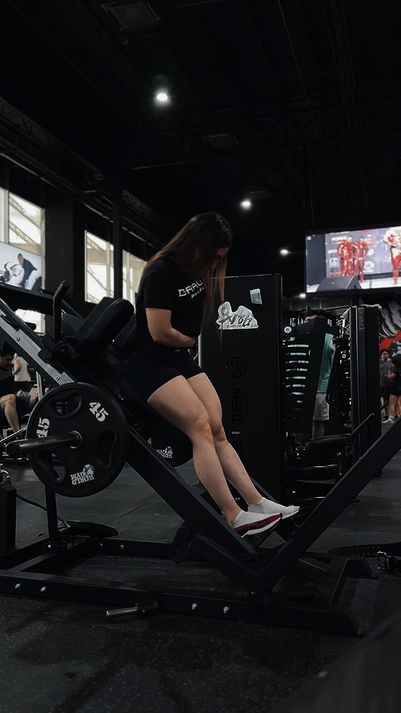 gym pro 6clip