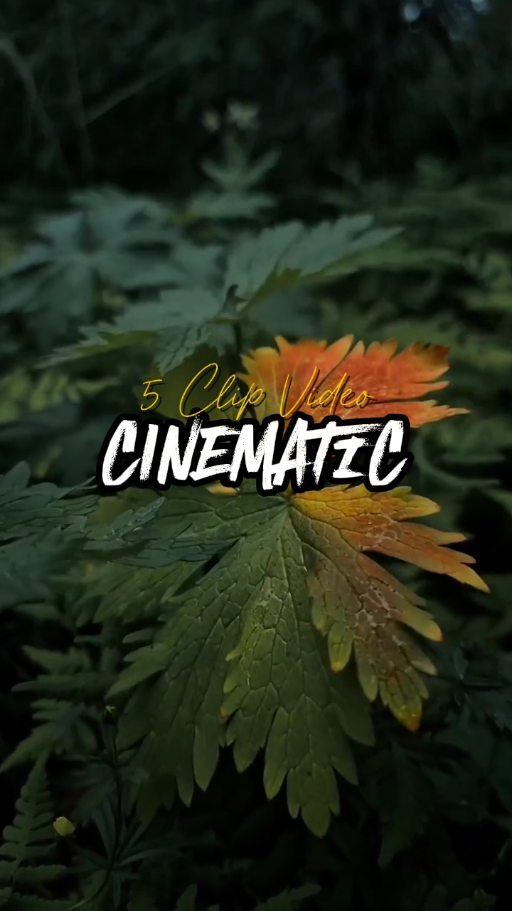 5 CLIPES CINEMÁTICOS 