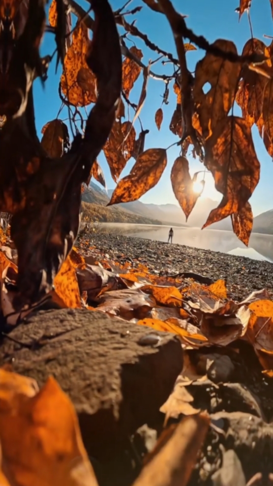1 klip cinematográfico