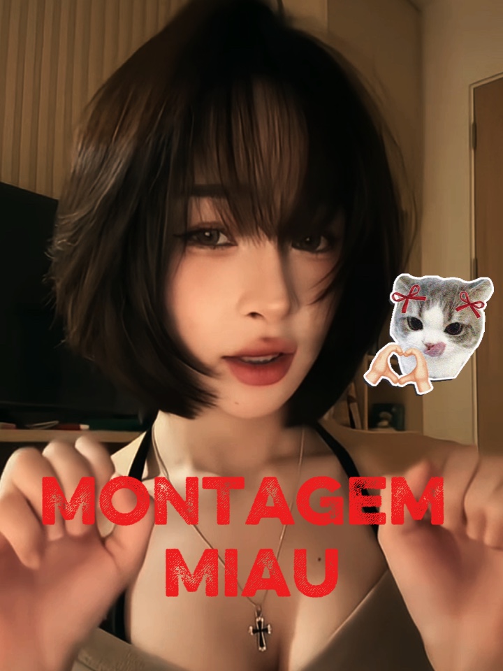 MONTAGEM MIAU