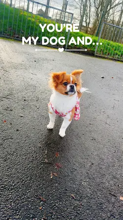 You’re my dog 