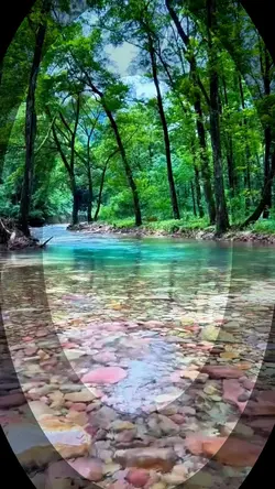 NATUREZA