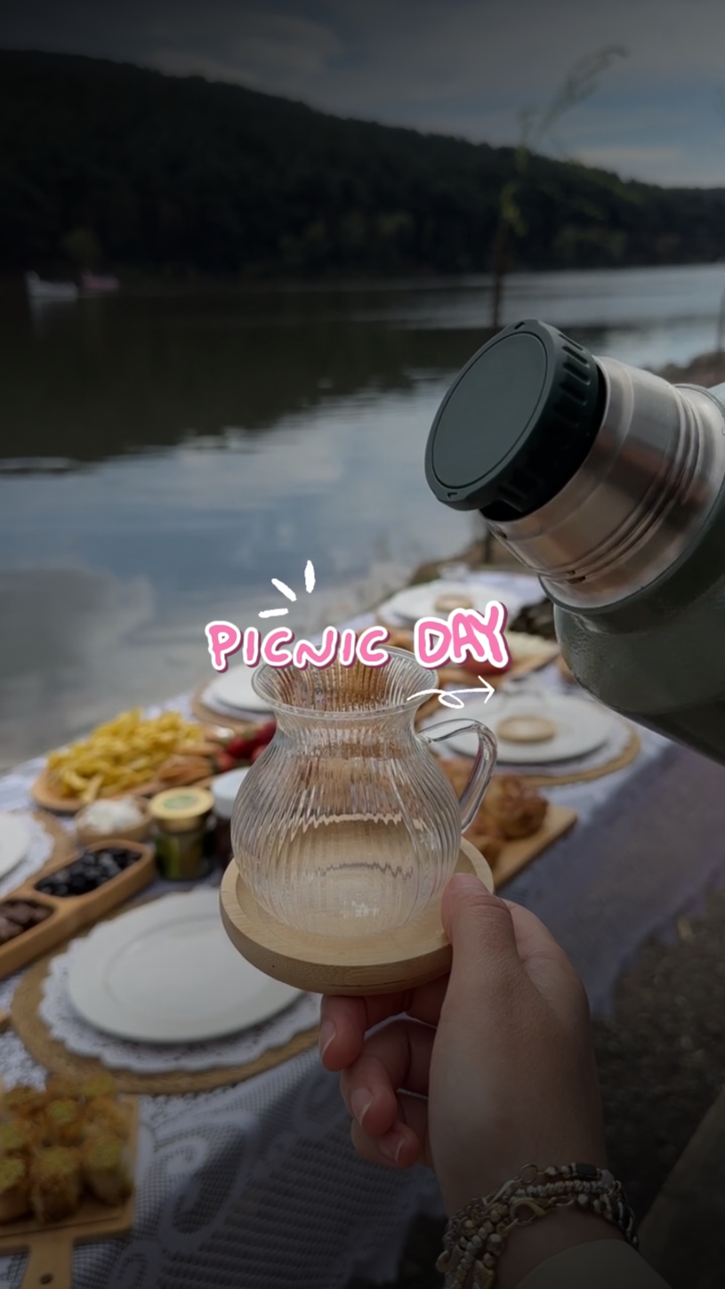 피크닉 데이